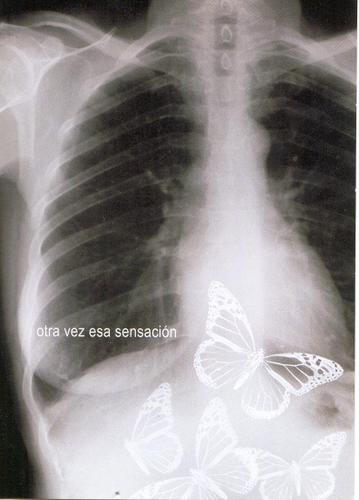 mariposas.jpg